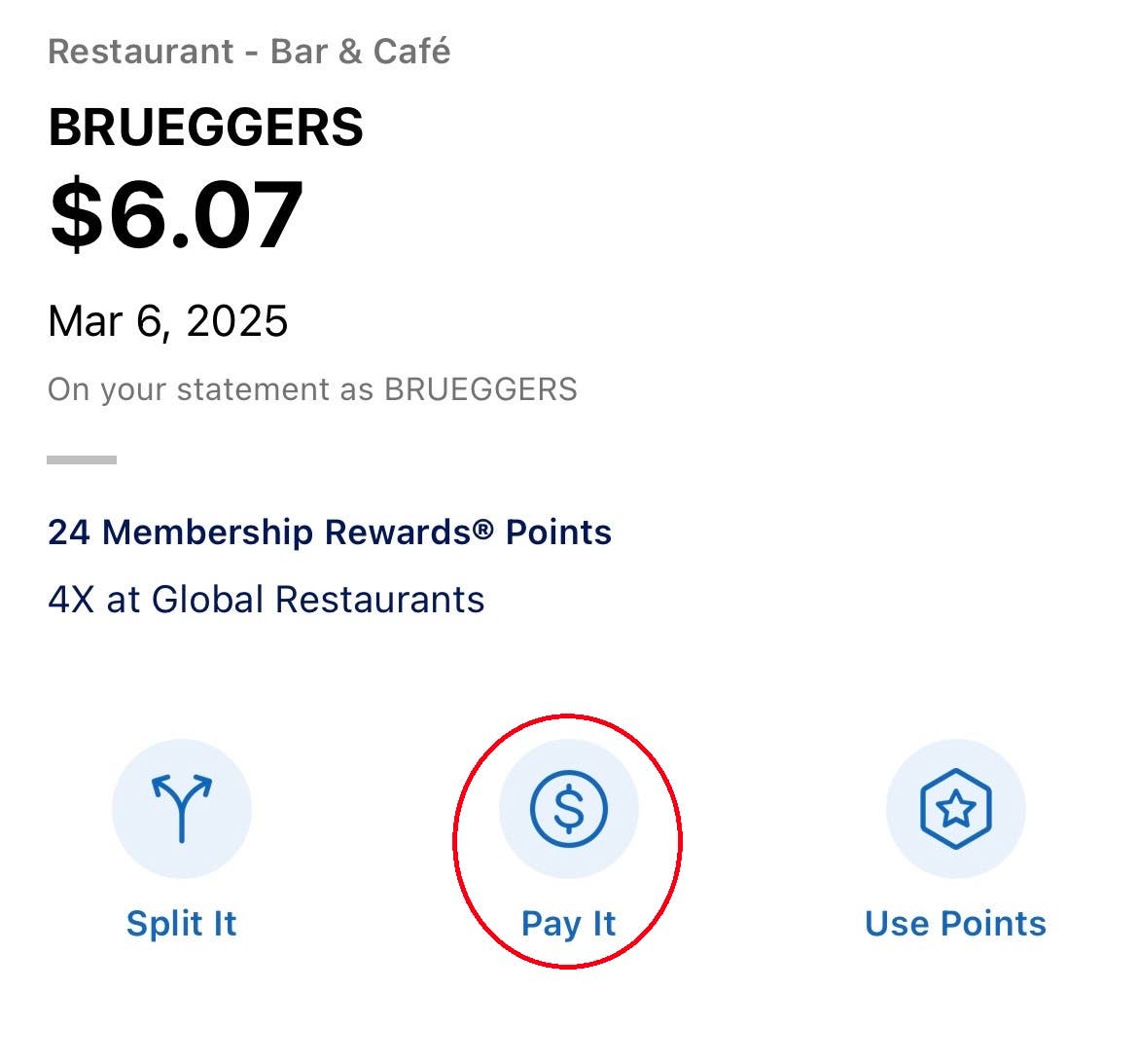 Screenshot of Amex Pay It